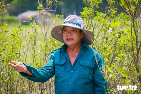 Vành đai 3 TP.HCM qua 4 tỉnh thành: Nơi thi công cấp tập, nơi rừng cây đất trống- Ảnh 16. Khu vực xung quanh nhà ông Nguyễn Thành Phương (ấp Bàu Sen, xã Phú Thạnh, huyện Nhơn Trạch) đang chặt cây xanh, dọn dẹp vườn để bàn giao mặt bằng theo yêu cầu của địa phương. Một số gia đình khu vực này đã đồng ý nhận tiền đền bù dịp trước Tết Nguyên đán 2024 nhưng hiện cũng chưa biết tái định cư ở đâu. Các hộ dân mong địa phương sớm bàn giao để gia đình về nơi ở mới - Ảnh: LÊ PHAN