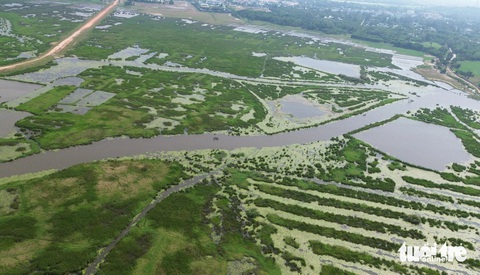 Bãi sậy sông Đầm - hệ sinh thái quý hiếm giữa lòng Tam Kỳ- Ảnh 11. Sông Đầm có 200ha mặt nước - Ảnh: LÊ TRUNG