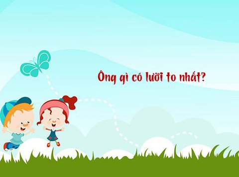 Câu đố hack não: Ông gì có lưỡi to nhất?- Ảnh 1. Câu đố hack não: Ông gì có lưỡi to nhất?- Ảnh 1.