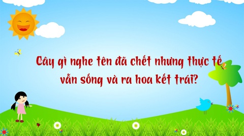 Câu đố hack não: Vì sao vợ được gọi là 'nóc nhà'?- Ảnh 5. Câu đố hack não: Vì sao vợ được gọi là 'nóc nhà'?- Ảnh 5.