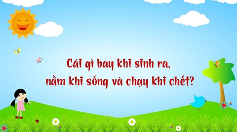 Câu đố hack não: Ông gì có lưỡi to nhất?- Ảnh 5. Câu đố hack não: Ông gì có lưỡi to nhất?- Ảnh 5.