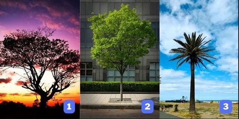 Quiz: Bạn có vị trí thế nào trong nhóm hoặc tập thể?- Ảnh 1. Quiz: Bạn có vị trí thế nào trong nhóm hoặc tập thể?- Ảnh 1.