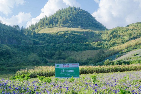 Nam Dược được vinh danh giải thưởng Hàng Việt Nam chất lượng cao năm 2024- Ảnh 2. Nam Dược được vinh danh giải thưởng Hàng Việt Nam chất lượng cao năm 2024- Ảnh 2.