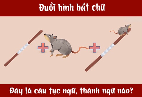 IQ cao có đoán được đây là câu tục ngữ, thành ngữ gì? (P49)- Ảnh 3. IQ cao có đoán được đây là câu tục ngữ, thành ngữ gì? (P49)- Ảnh 3.