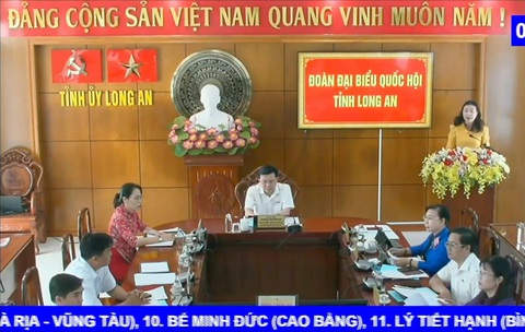 Bộ trưởng Hồ Đức Phớc trả lời chất vấn: Giải pháp giảm giá vàng, USD?- Ảnh 9. Đại biểu Lê Thị Song An - Đoàn đại biểu Quốc hội tỉnh Long An