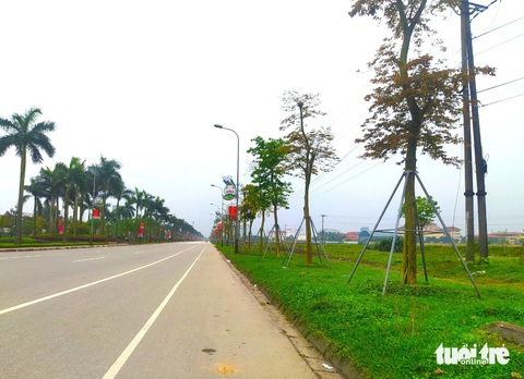 Cơ quan an ninh điều tra Bộ Công an yêu cầu Hà Tĩnh rà soát, báo cáo về các dự án cây xanh- Ảnh 1. Hà Tĩnh đang tổng hợp các dự án trồng, chăm sóc cây xanh báo cáo Bộ Công an. Trong ảnh: Hệ thống cây xanh trên một truyến đường ở TP Hà Tĩnh - Ảnh: LÊ MINH