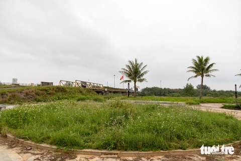 Cỏ dại mọc ngập di tích quốc gia đặc biệt Hiền Lương - Bến Hải- Ảnh 4. Một bồn hoa sát cầu Hiền Lương toàn cỏ dại nhìn sang phía bờ bắc - Ảnh: HOÀNG TÁO
