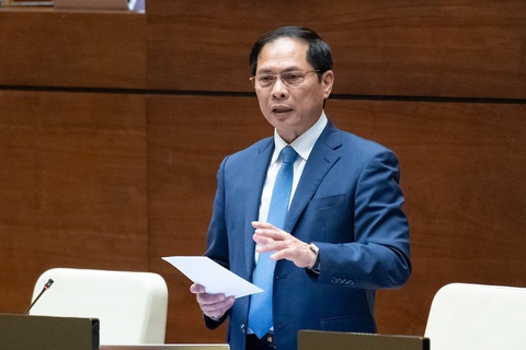 Bộ trưởng Bùi Thanh Sơn: Phải chặt đứt đường dây lừa 'việc nhẹ lương cao'- Ảnh 1. Bộ trưởng Bộ Ngoại giao Bùi Thanh Sơn - Ảnh: GIA HÂN