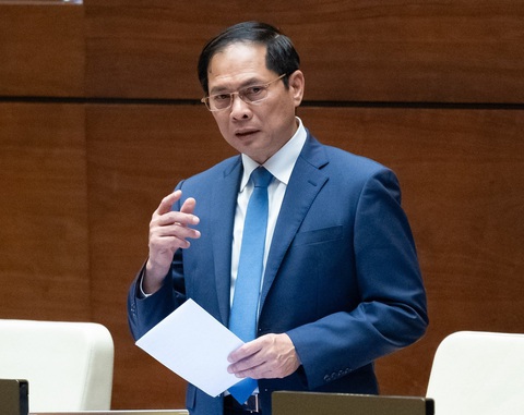Bộ trưởng Bùi Thanh Sơn: 'Chuyến bay giải cứu là sự kiện rất đau xót'- Ảnh 1. Bộ trưởng Bộ Ngoại giao Bùi Thanh Sơn - Ảnh: GIA HÂN