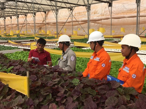 Nhiều giải pháp giảm hóa đơn tiền điện mùa nắng nóng- Ảnh 1. Ngành điện thường xuyên tổ chức các đợt tuyên truyền tiết kiệm điện đến người dân, doanh nghiệp - Ảnh: EVNSPC