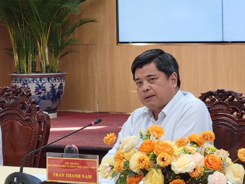 Ông Hồ Quang Cua: Thương hiệu gạo quốc gia nên là sản phẩm tinh túy nhất của đất nước- Ảnh 2. Thứ trưởng Bộ Nông nghiệp và Phát triển nông thôn Trần Thanh Nam cho rằng cần có nghị định về vấn đề xây dựng thương hiệu quốc gia cho nông sản - Ảnh: CHÍ QUỐC