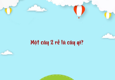 Câu đố hack não: Cầu gì biết đi?- Ảnh 3. Câu đố hack não: Cầu gì biết đi?- Ảnh 3.