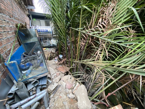 Khẳng định dân Hội An không phá rừng, phóng viên dẫn tới hiện trường, chủ tịch xã sốc- Ảnh 2. Rừng dừa nước bị phá để lấn chiếm, xây dựng công trình - Ảnh: B.D.