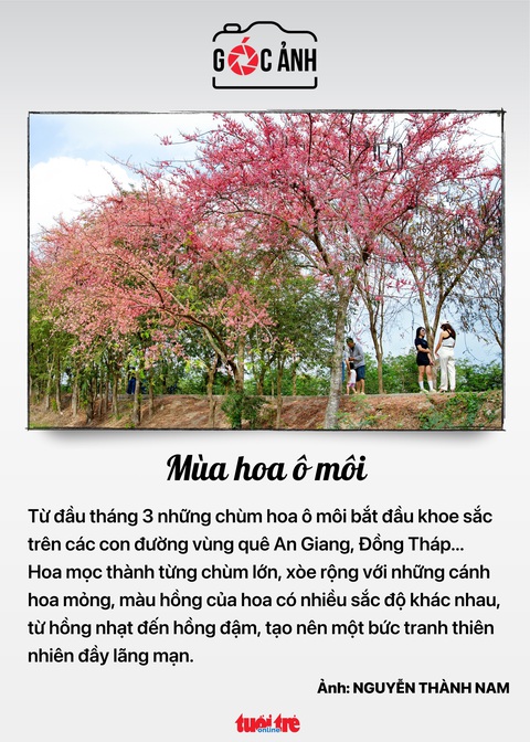 Tin tức sáng 20-3: Nắng nóng, TP.HCM kiểm tra phòng cháy chữa cháy biển quảng cáo- Ảnh 6. Tin tức sáng 20-3: Nắng nóng, TP.HCM kiểm tra phòng cháy chữa cháy biển quảng cáo- Ảnh 6.