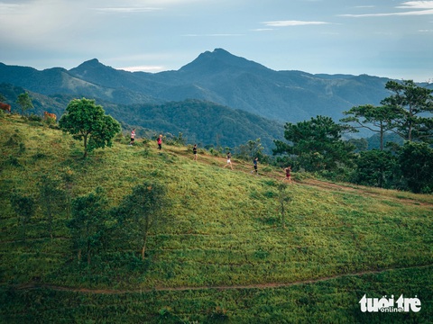 Đường chạy Tà Năng băng qua 2 vùng địa hình đẹp lung linh- Ảnh 1. Đường chạy Tà Năng thú vị vì băng qua hai địa hình rất rõ rệt - Ảnh: NGÔ HUY