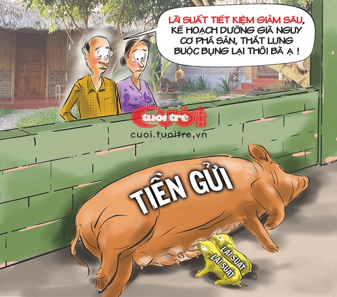 Cặp vợ chồng hưu trí lo cho 'đàn heo dưỡng già'- Ảnh 1. Lo cho đàn heo dưỡng già - Tranh: Đỗ Minh Tuấn