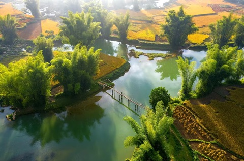 Tác phẩm “Nắng sớm vùng cao” của tác giả Lục Thị Niên Tác phẩm “Nắng sớm vùng cao” của tác giả Lục Thị Niên