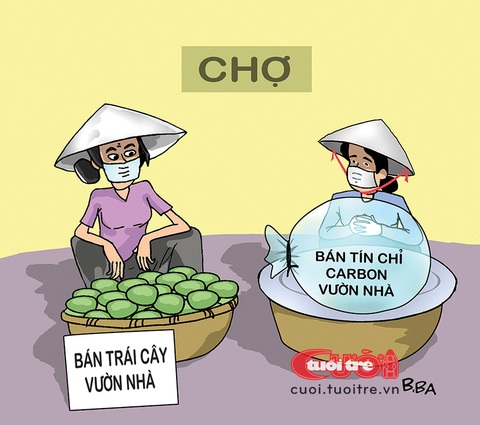 Nông dân hồ hởi với tín chỉ carbon- Ảnh 1. Tín chỉ carbon ra chợ cạnh tranh với trái cây - Tranh: B.Ba