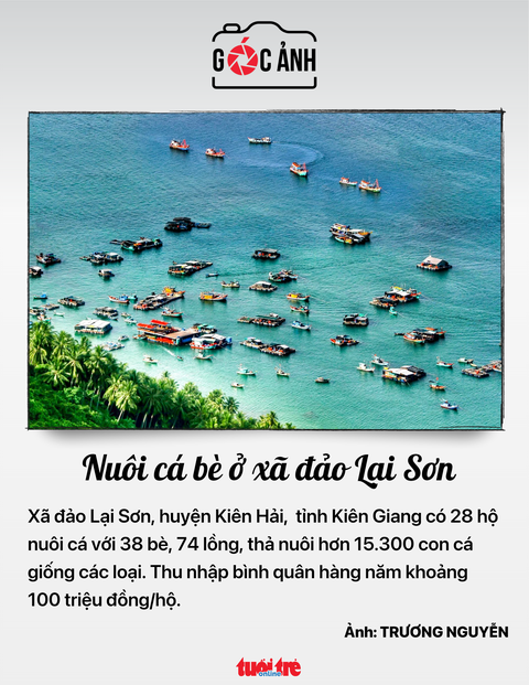 Nuôi cá bè ở xã đảo Lai Sơn - Ảnh: TRƯỜNG NGUYÊN Nuôi cá bè ở xã đảo Lai Sơn - Ảnh: TRƯƠNG NGUYỄN