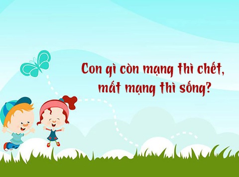 Câu đố hack não: Con gì còn mạng thì chết, mất mạng thì sống?- Ảnh 1. Câu đố hack não: Con gì còn mạng thì chết, mất mạng thì sống?- Ảnh 1.