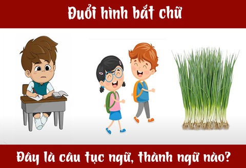 IQ cao có đoán được đây là câu tục ngữ, thành ngữ gì? (P50)- Ảnh 3. IQ cao có đoán được đây là câu tục ngữ, thành ngữ gì? (P50)- Ảnh 3.
