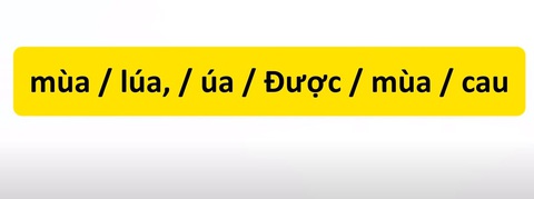 Thử tài tiếng Việt: Sắp xếp các từ sau thành câu có nghĩa (P40)- Ảnh 3. Thử tài tiếng Việt: Sắp xếp các từ sau thành câu có nghĩa (P40)- Ảnh 3.