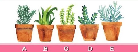 Quiz: 5 điều gì ở bạn khiến người khác ấn tượng nhất?- Ảnh 1. Quiz: 5 điều gì ở bạn khiến người khác ấn tượng nhất?- Ảnh 1.