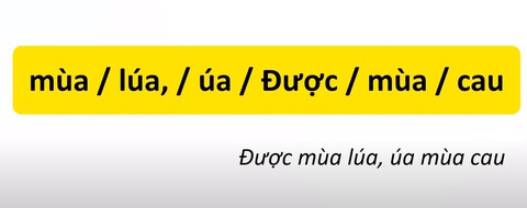 Thử tài tiếng Việt: Sắp xếp các từ sau thành câu có nghĩa (P40)- Ảnh 4. Thử tài tiếng Việt: Sắp xếp các từ sau thành câu có nghĩa (P40)- Ảnh 4.