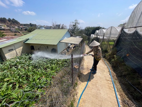Các hộ dân sống trong tình trạng nhà cửa cũ kỹ, xuống cấp đã gần 20 năm qua trong lòng dự án - Ảnh: M.V. Các hộ dân sống trong tình trạng nhà cửa cũ kỹ, xuống cấp đã gần 20 năm qua trong lòng dự án - Ảnh: M.V.