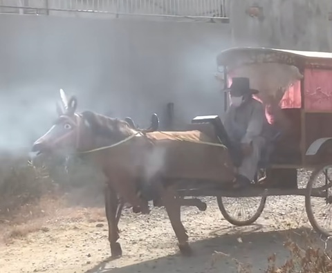 Thợ máy 68 tuổi ở Bình Chánh tự chế ngựa sắt đi dạo quanh xóm- Ảnh 1. Ông Trần Văn Đúng điều khiển con ngựa tự chế - Ảnh cắt từ clip trên mạng xã hội