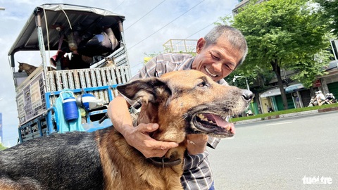 Ông Thành chăm lo những chú chó bằng tấm lòng yêu thương - Ảnh: Y.TRINH Chủ nuôi chó phải tiêm phòng bệnh dại cho chó - Ảnh: Y.TRINH
