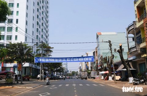Cục trưởng Cục Thú y: Không nơi nào chết vì bệnh dại nhiều như Việt Nam- Ảnh 1. Băng rôn tuyên truyền tiêm vắc xin phòng dại cho chó mèo tại Pleiku, Gia Lai - Ảnh: TẤN LỰC