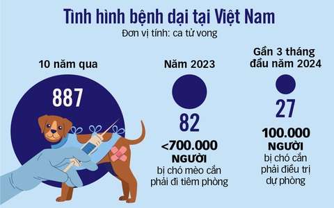 887 người chết vì bệnh dại: Không được để chó thả rông, cắn người nữa- Ảnh 2. Tổng hợp: T.LỰC - Đồ họa: T.ĐẠT