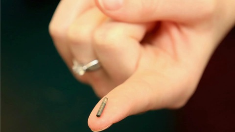 Gắn chip vào chó mèo có tác dụng gì, hoạt động ra sao?- Ảnh 1. Loại chip được gắn vào thú cưng - Ảnh: WIKIMEDIA