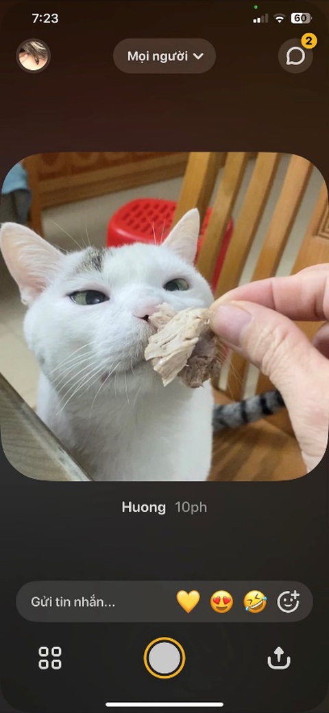 Bất ngờ ảnh đĩa rau muống nhận hơn 30.000 lượt thích trên mạng xã hội- Ảnh 2. Bất ngờ ảnh đĩa rau muống nhận hơn 30.000 lượt thích trên mạng xã hội- Ảnh 2.