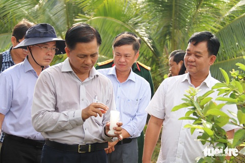 Miền Tây gấp rút tung giải pháp chống hạn, mặn ‘bủa vây’- Ảnh 2. Ông Trần Văn Lâu - chủ tịch UBND tỉnh Sóc Trăng (bìa trái, hàng đầu) xem người dân trồng cây thích ứng với hạn mặn - Ảnh: KHẮC TÂM