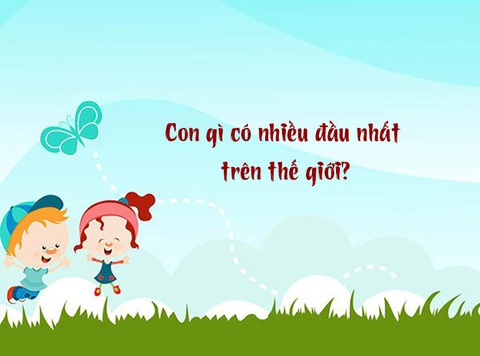 Câu đố hack não: Con gì có nhiều đầu nhất trên thế giới?- Ảnh 1. Câu đố hack não: Con gì có nhiều đầu nhất trên thế giới?- Ảnh 1.