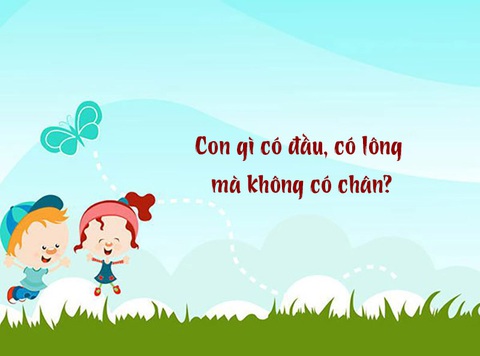 Câu đố hack não: Con gì có đầu, có lông mà không có chân?- Ảnh 1. Câu đố hack não: Con gì có đầu, có lông mà không có chân?- Ảnh 1.