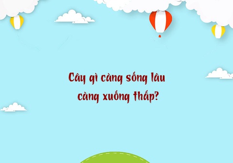 Câu đố hack não: Con gì có đầu, có lông mà không có chân?- Ảnh 3. Câu đố hack não: Con gì có đầu, có lông mà không có chân?- Ảnh 3.