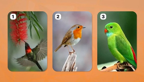 Quiz: Điểm mạnh trong tính cách của bạn là gì?- Ảnh 1. Quiz: Điểm mạnh trong tính cách của bạn là gì?- Ảnh 1.