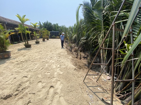 Doanh nghiệp phá rừng dừa ở Hội An viết thư xin lỗi chính quyền, tháo dỡ đất lấn chiếm- Ảnh 1. Phần lớn công trình lấn chiếm đã thaod dỡ tại nhà hàng của Công ty Rừng Dừa Cẩm Thanh - Ảnh: B.D.