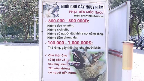 Nhức nhối bệnh dại- Ảnh 5. Biển báo cấm chó thả rông ở công viên Thống Nhất, Hà Nội - Ảnh: N.HẠNH