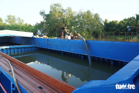 Nhà máy nước chấp nhận lỗ, thuê sà lan chở nước ngọt về cấp cho người dân- Ảnh 1. Nước ngọt được chở bằng sà lan để bơm vào nhà máy xử lý nước - Ảnh: MẬU TRƯỜNG