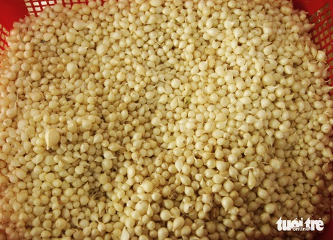Thương bánh ướt Phương Lang, cháo vạt giường Quảng Trị- Ảnh 5. Củ nén là một gia vị không thể thiếu trong tô cháo bột cá lóc Quảng Trị - Ảnh: HỒ LAM