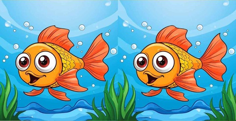 Mắt 10/10 có thấy quả bí ngô và con giun ở đâu?- Ảnh 5. Mắt 10/10 có thấy quả bí ngô và con giun ở đâu?- Ảnh 5.
