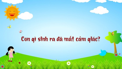 Câu đố hack não: Biển gì nhỏ nhất?- Ảnh 5. Câu đố hack não: Biển gì nhỏ nhất?- Ảnh 5.