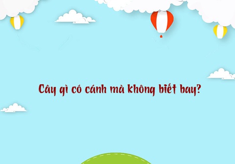 Câu đố hack não: Cái gì càng bóp càng to?- Ảnh 3. Câu đố hack não: Cái gì càng bóp càng to?- Ảnh 3.