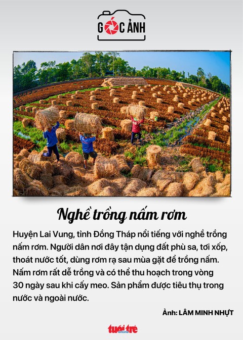 Tin tức sáng 27-3: Bến xe Miền Đông mới sẽ có thêm xe trung chuyển- Ảnh 6. Tin tức sáng 27-3: Bến xe Miền Đông mới sẽ có thêm xe trung chuyển- Ảnh 6.