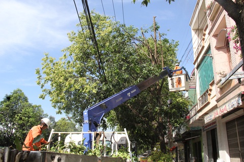 Mùa nắng cần bóng mát sao lại chặt cây?- Ảnh 5. Cây xanh bị "cạo trọc" một bên, trông như mái tóc cạo một nửa, chừa lại một nửa