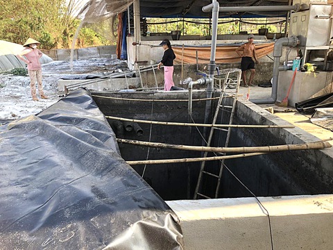 Phòng tránh gây ngạt khí trong hầm biogas- Ảnh 1. Hầm biogas nơi 3 người tại Đồng Nai gặp nạn - Ảnh: MINH ĐĂNG